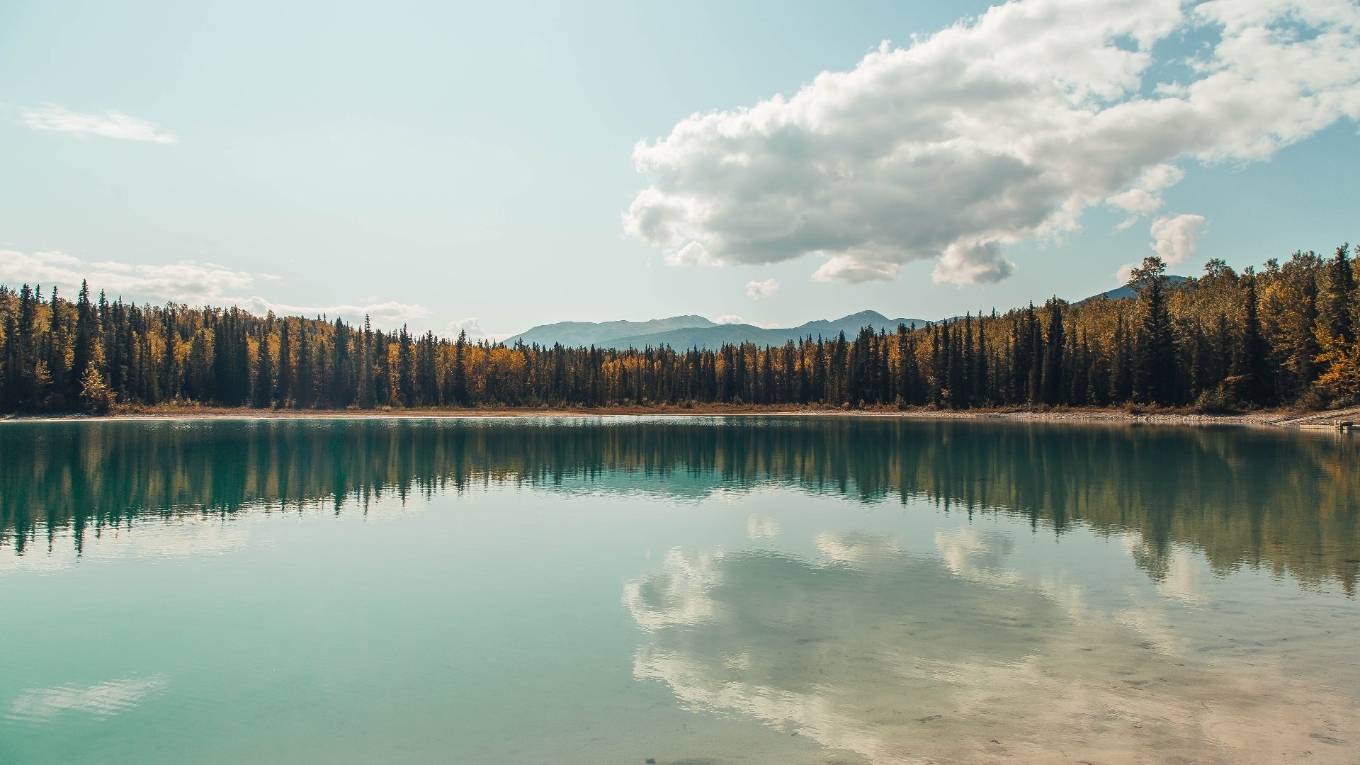华体会体育-巨兽腹地的冷箭,欧冠半决赛之夜,马丁内利何以不手软? 第2张 华体会体育-巨兽腹地的冷箭,欧冠半决赛之夜,马丁内利何以不手软? 第2张