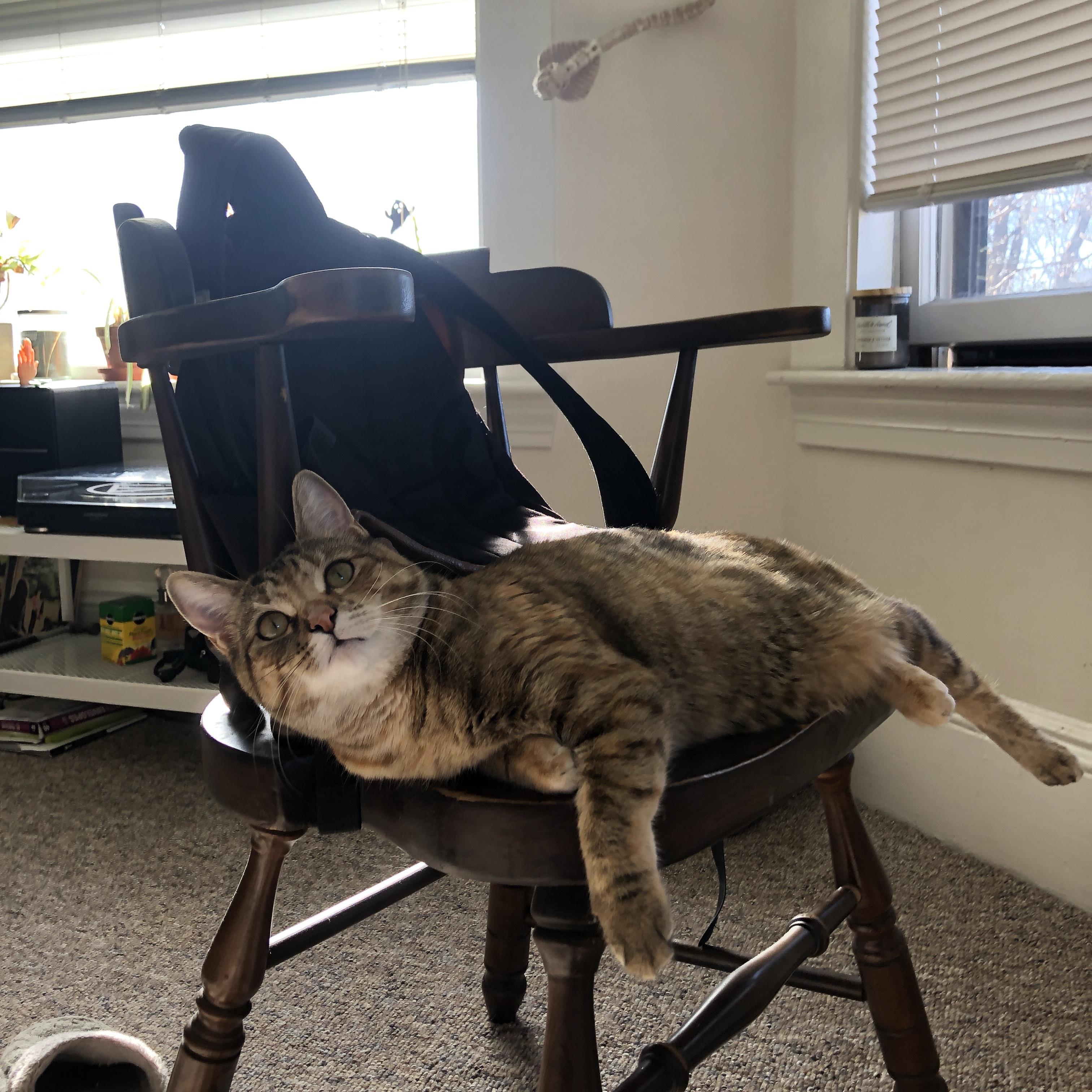 华体会官网-C罗闪耀圣保罗球场，那不勒斯加时绝杀皇马，葡萄牙巨星主宰胜负  第2张